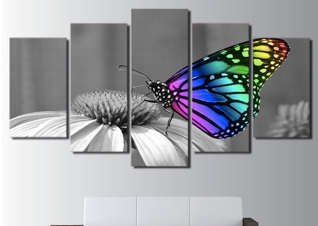 Tableau papillon multicolore sur fond noir et blanc