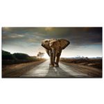 Tableau éléphant sur la route