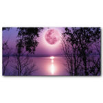 Tableau Pleine lune sur le lac Tableau Paysage Tableau Nature