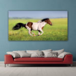 Tableau Cheval tacheté en pleine course Tableau Animaux Tableau Cheval