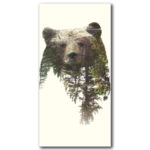 Tableau L’ours et la forêt Tableau Animaux Tableau Nature Tableau Ours