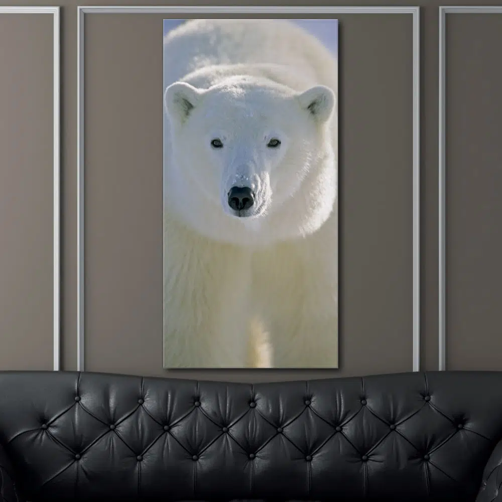 Eisbären_2