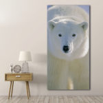 Tableau Ours polaire de face Tableau Animaux Tableau Ours