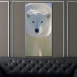 Tableau Ours polaire de face Tableau Animaux Tableau Ours