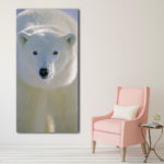 Tableau Ours polaire de face Tableau Animaux Tableau Ours