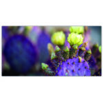 Tableau Cactus violet à côté d’une fleur Tableau Fleur Tableau Nature