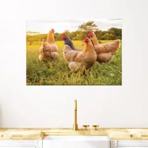 Gemälde Hühner bei Sonnenuntergang. Gute Qualität, originell, an einer Wand über einer Strohmatte in einer Küche aufgehängt.